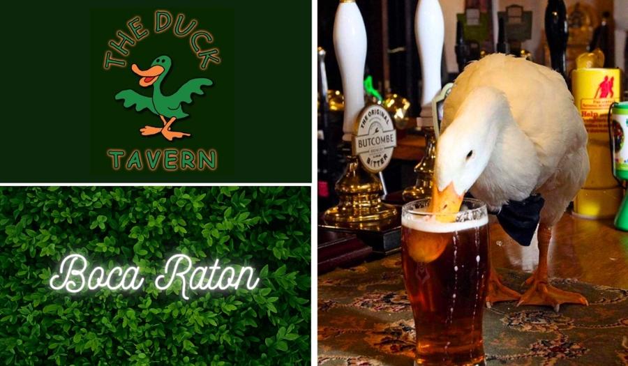 The Duck Tavern